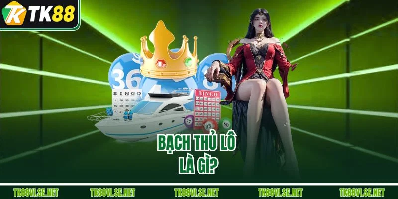 Bạch thủ lô là gì?