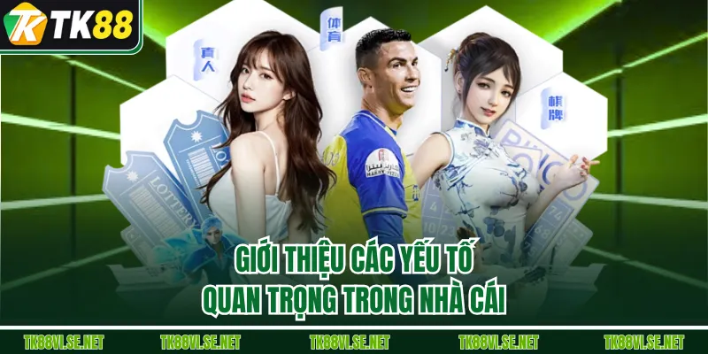 Giới thiệu các ưu điểm nổi bật của nhà cái TK88
