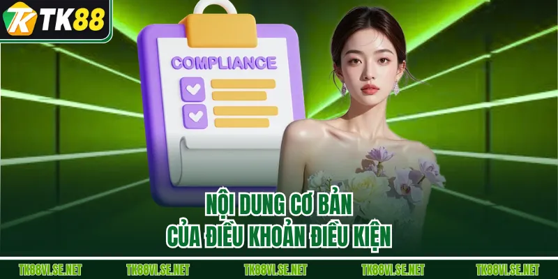 Nội dung cơ bản của điều khoản điều kiện